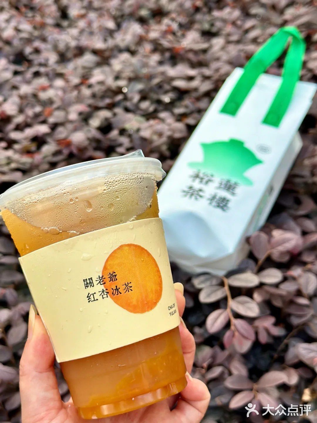 这个夏天的命是这杯红杏冰茶给的