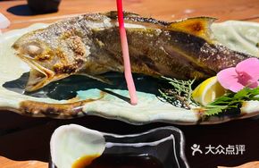 Grouper Fish
