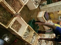 android_upload_pic-尼甘布海鲜市场