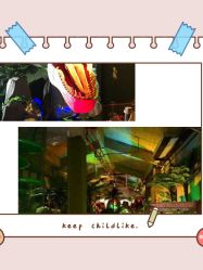 -恐龙探索乐园(磁器口店)