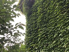 -生态苑农庄(十里画廊遇龙河店)