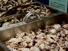 -禾斗海鲜自助(市南银座店)