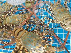 -三亚火车头万人海鲜广场