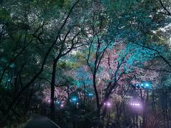 -龟山风景区-龟山电视塔