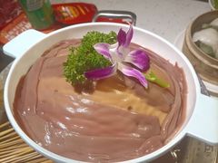 -钢管厂五区小郡肝火锅串串香(总店)
