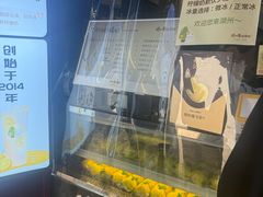 -猫的魔法密林(衣裳街店)