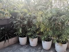 -马家斑.鲜鱼火锅(松湖万科店)