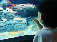 -沈阳海洋探索中心