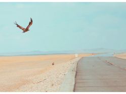 -Oasis Beauty水磨坊科技美肤中心