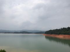-广州市流溪河国家森林公园