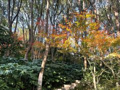 -杭州半山国家森林公园