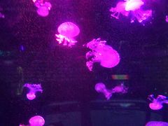 -正佳极地海洋世界