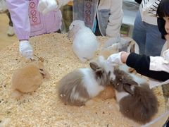 -宝龙城(杭州滨江店)