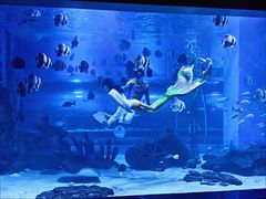 -顺德南宏海立方海洋公园