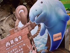 -珠海长隆海洋王国