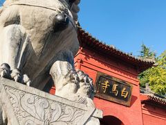 -洛阳白马寺