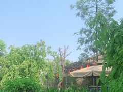 -苏记溪河鲢鱼庄(天府新区店)