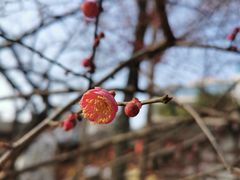 -柠静私家菜(石板巷店)