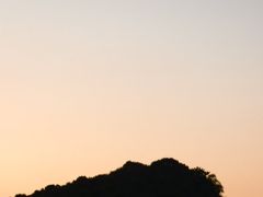 -上海月湖雕塑公园