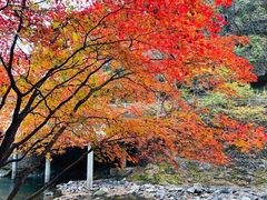 -本溪老边沟风景区