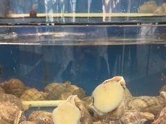 -渔中舟海鲜大排档(普陀沈家门店)