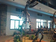 -自贡恐龙博物馆