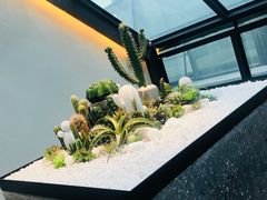 -大树餐厅(红旗街万达店)