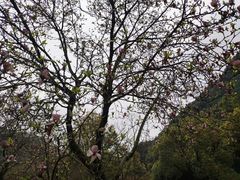 -黄公望隐居地