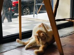 -251#coffee roasters(沿河东路店)