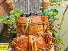 -水岸居湖景农家乐·阳澄湖大闸蟹