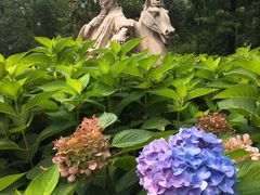 -常州古运河南大街文化旅游区-人民公园