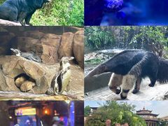 -长鹿旅游休博园