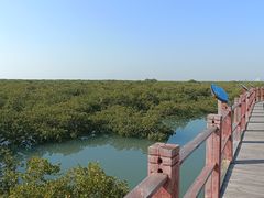 -北海金海湾红树林生态旅游区