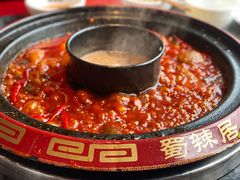 -蜀辣居鲜货老火锅(双流万达店)