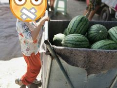 -庞各庄西瓜蔬菜采摘园·锦华瓜园