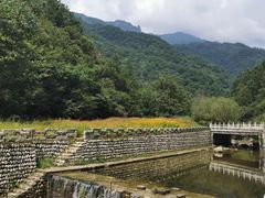 -牛背梁国家森林公园