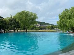 -上海佘山世茂艾美酒店