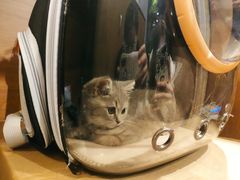 -梵猫·新养生(湛江鼎盛店)
