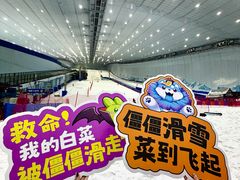 -哈尔滨热雪奇迹