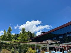 -全国青少年井冈山革命传统教育基地