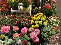 -东莞松山湖万象汇