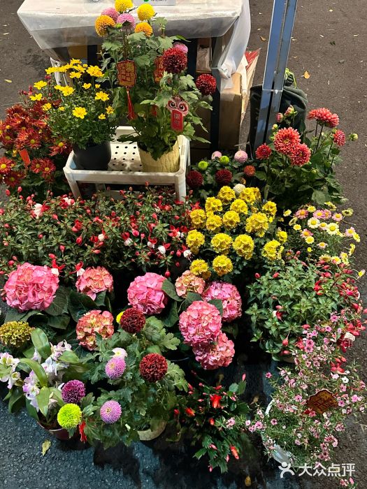 东莞松山湖万象汇图片