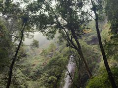 -莫里热带雨林景区