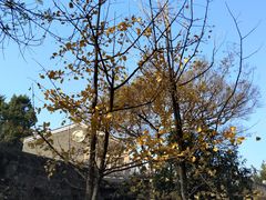 -无锡梅园公园