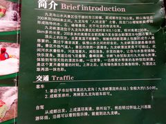 -崇州九龙峡漂流