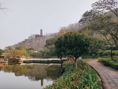 -南沙蒲洲花园