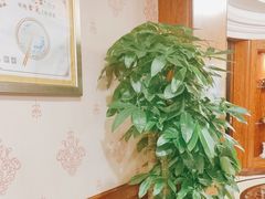 -深圳富苑皇冠假日套房酒店