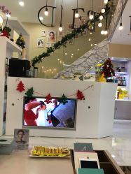 -新蝶变皮肤管理中心