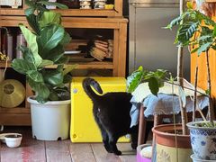 -春风十里咖啡馆