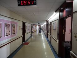 -复旦大学附属妇产科医院(杨浦院区)